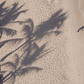Ripped Paper Transition - After Effects Template
