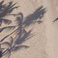 Ripped Paper Transition - After Effects Template